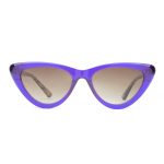 Sunglasses Bruno Botti BB2202-001-GR.BROWNE 