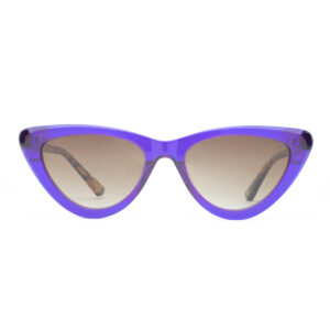 Sunglasses Bruno Botti BB2202-001-GR.BROWNE