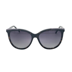 Sunglasses Bruno Botti BB2219-C003