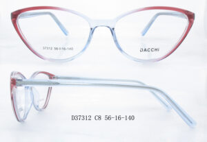 Frames Dacchi D37312-C8