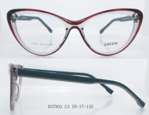Frames Dacchi D37933-C3