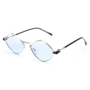 Sunglasses Havvs HV68033-E