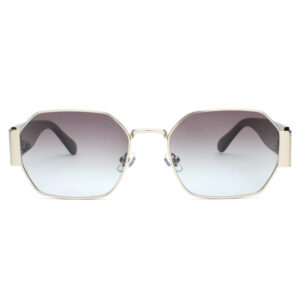 Sunglasses Havvs HV68051-E