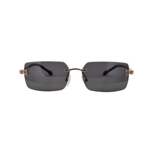 Sunglasses Rita Bradley RBP9038-C01P